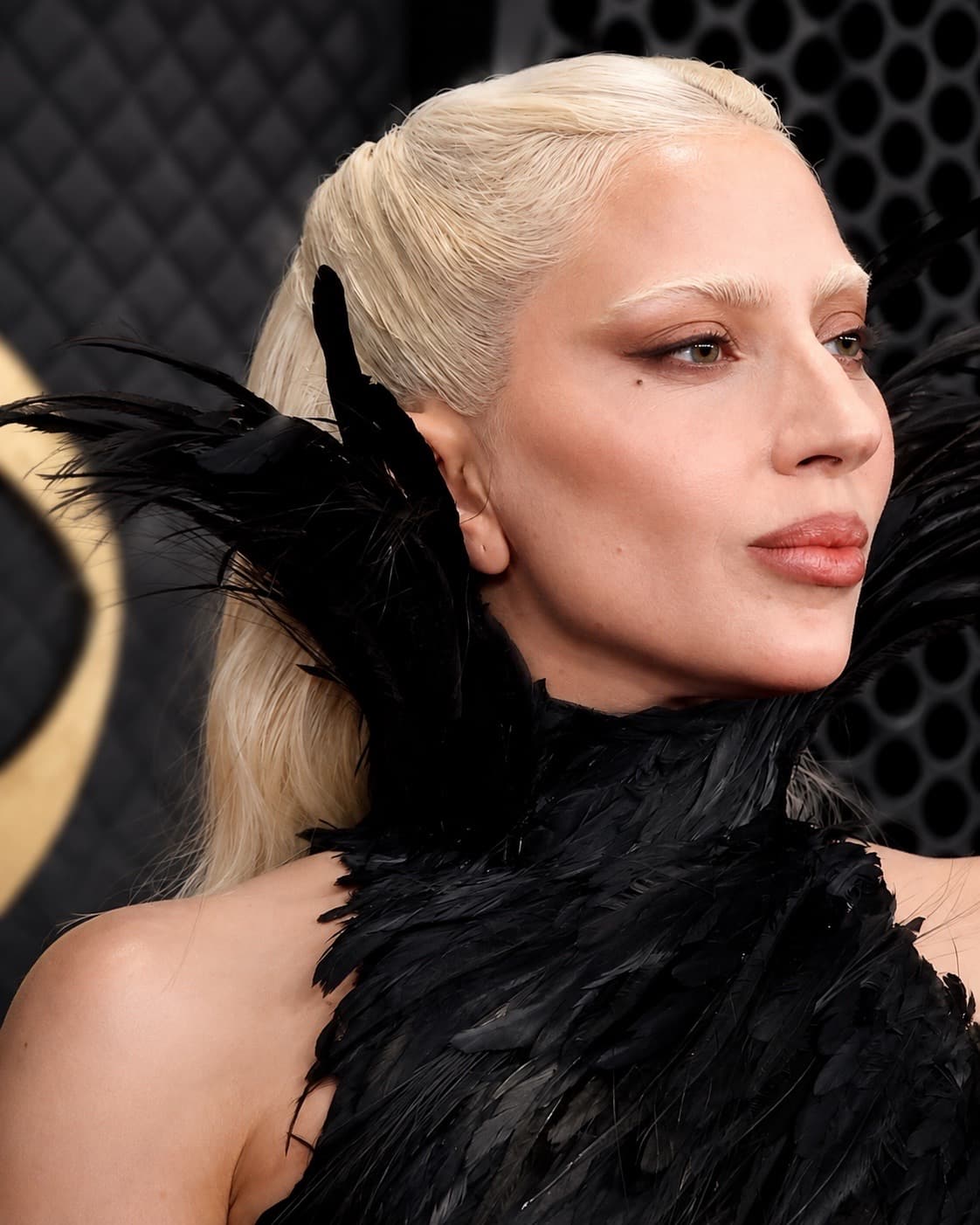 VJOURNAL editorial illustration depicting Lady Gaga