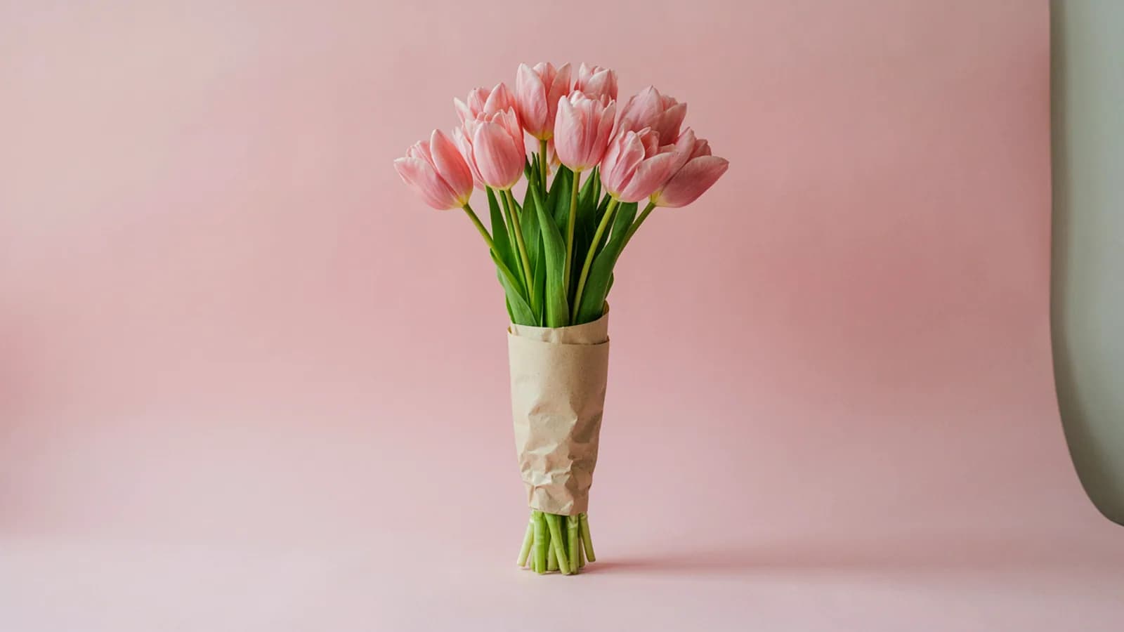 A bouquet of pink tulips wrapped in kraft paper on a plain pastel pink background; AI-generated image